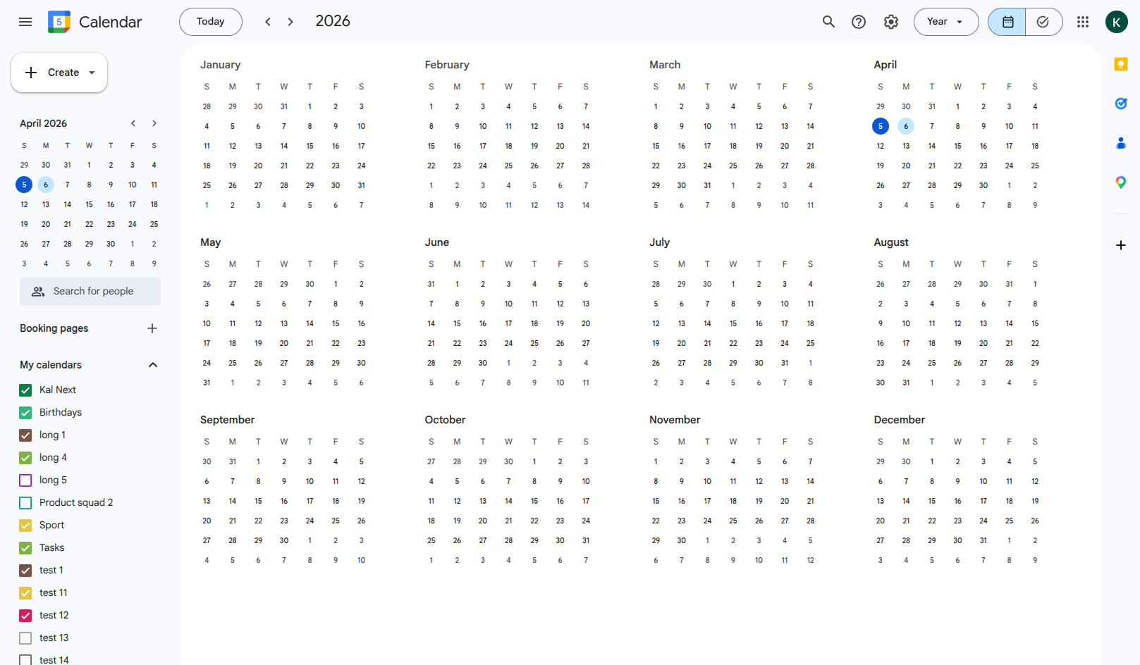 Google Calendar's built-in year view showing only colored dots without event names